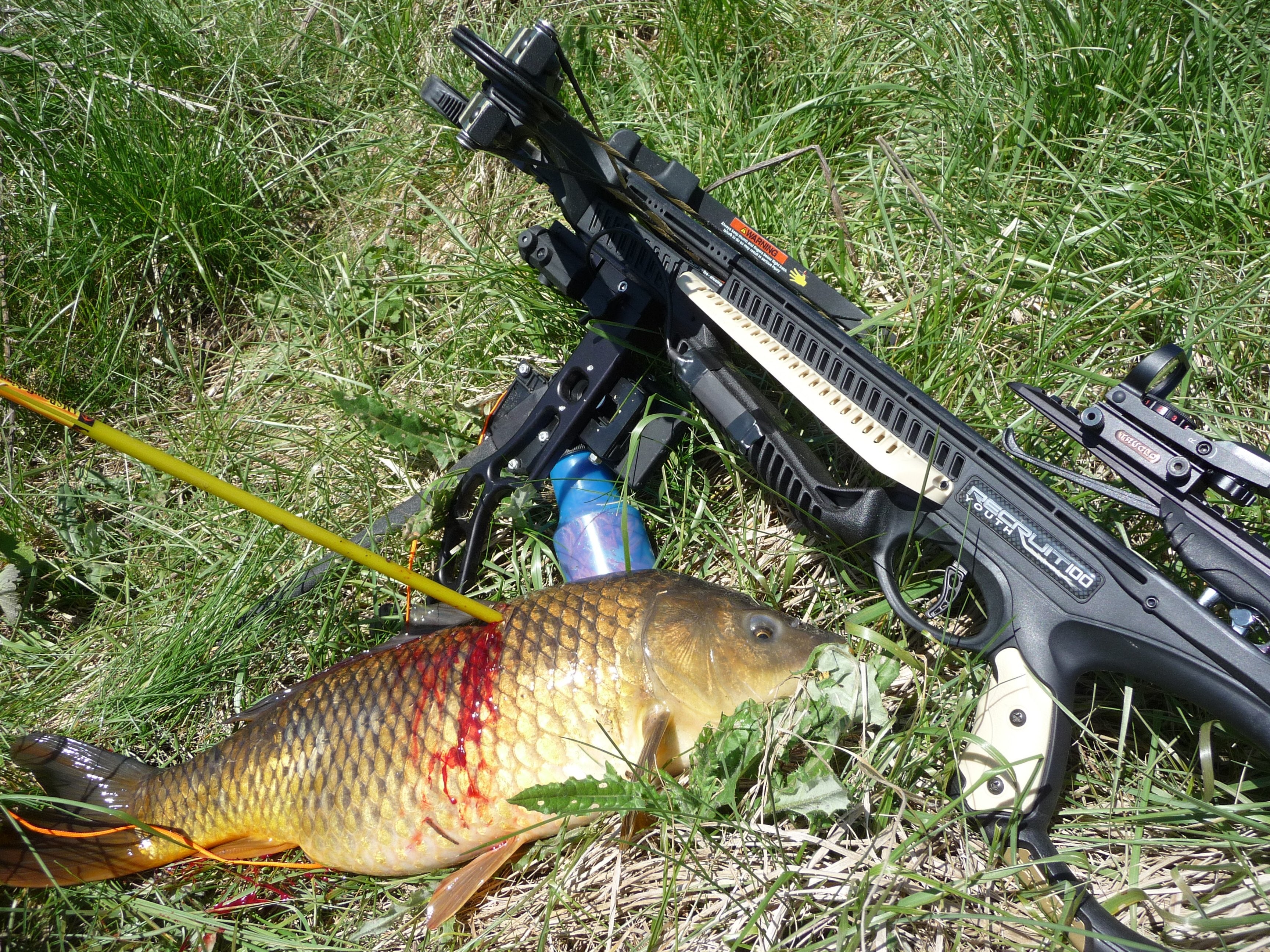 Crossbow fishing  The  Outdoor Community