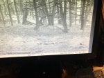 IMG_1112.jpeg