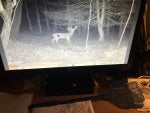 IMG_1109.jpeg
