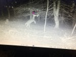 IMG_1108.jpeg