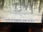 IMG_1107.jpeg
