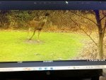 IMG_9044.jpeg