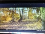IMG_8757.jpeg