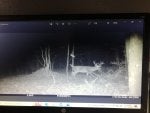 IMG_8759.jpeg