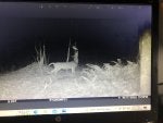 IMG_8705.jpeg
