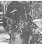 Allison (Medium).jpg